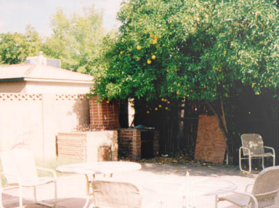 Original barbecue pit