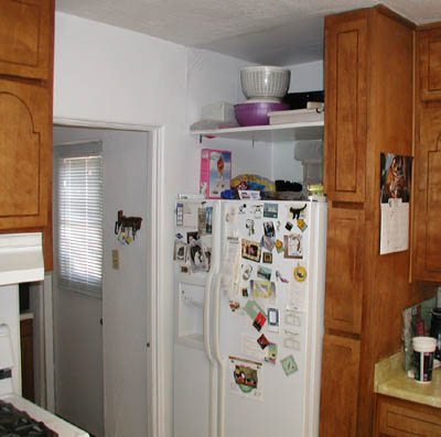 Refrigerator after