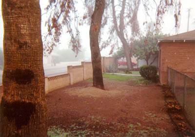 Morning of Oct 31, 2000