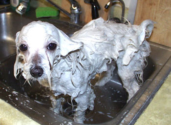 Bath time
